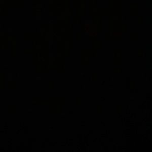 Meet your Posher, Ellee